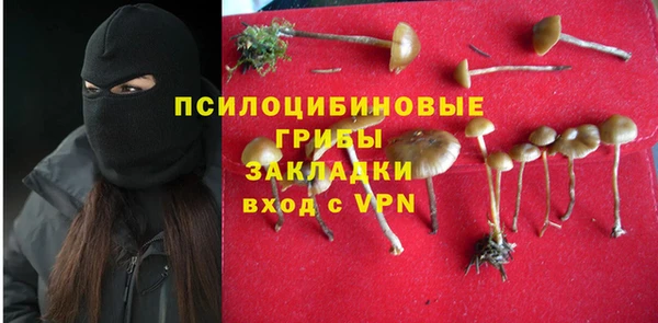 ECSTASY Алексеевка